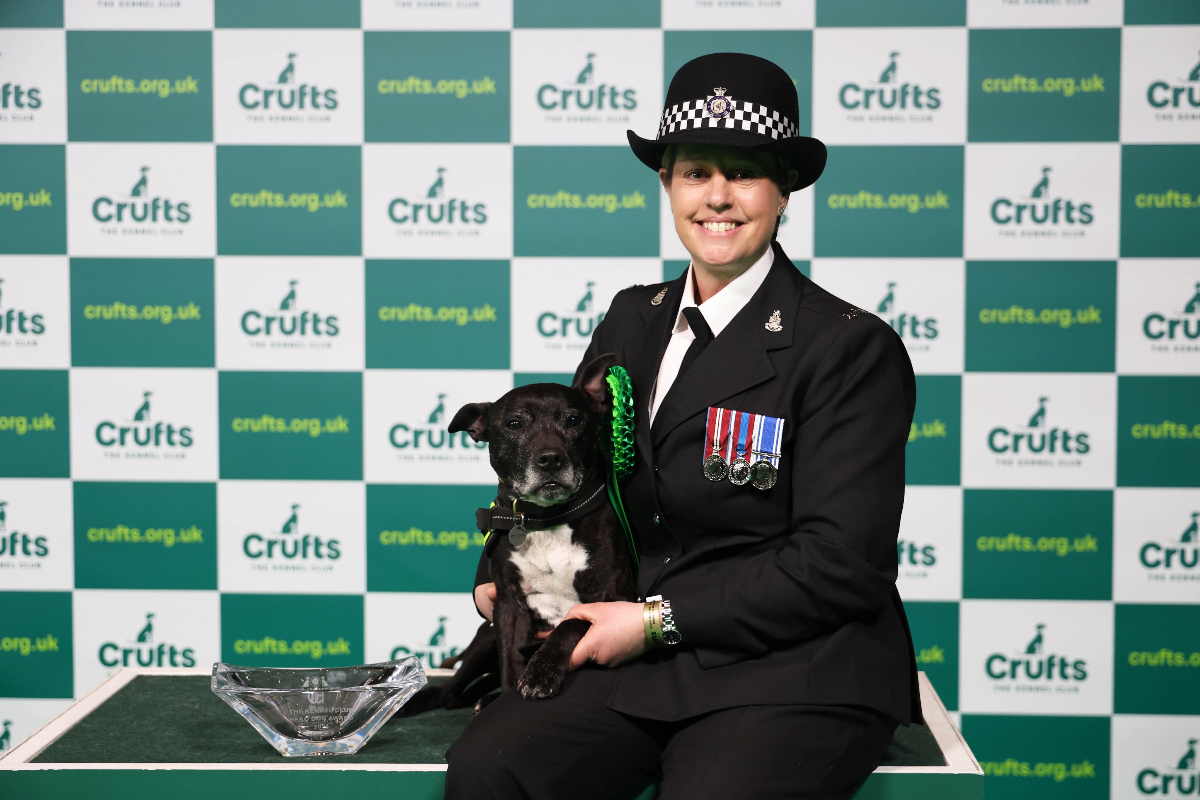 Crufts begins search for UK’s Top Dog Hero.