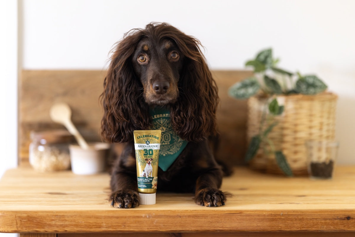 Joy in a Tube: Arden Grange Launches Peanut Butter Tasty Paste