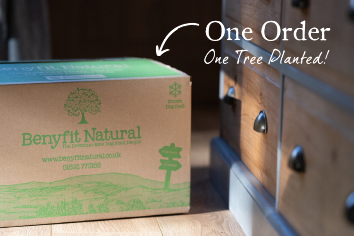 Benyfit Natural Launches Partnership with Ecologi
