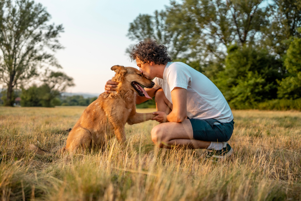 Why Some Dogs Find Affection Difficult