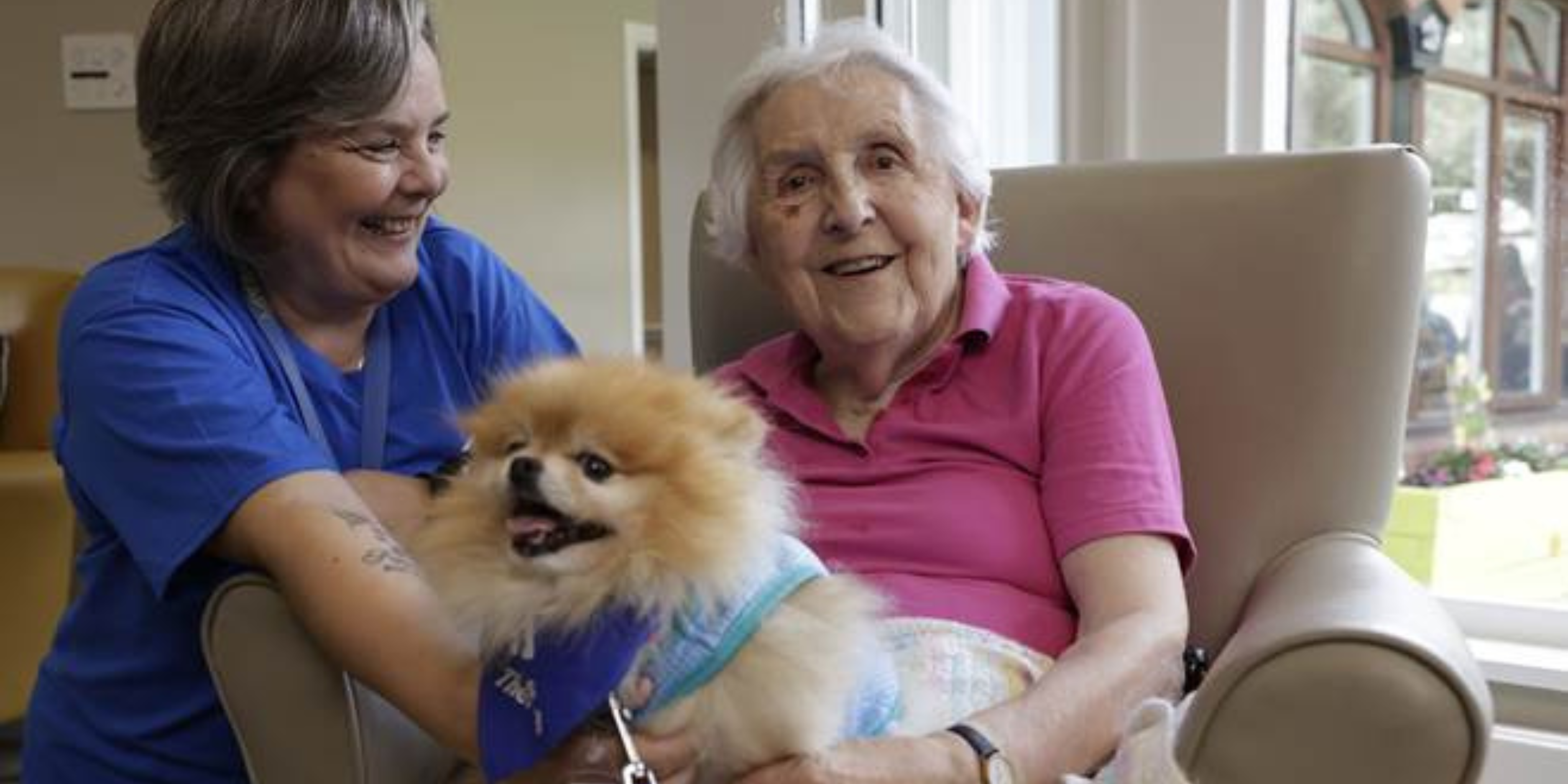 Therapy Pets Would Make a Care Home More Positive