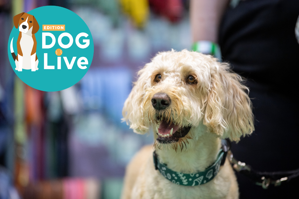 Edition Dog Live: Two Days of Dogs, Fun and Discovery