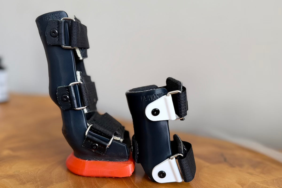 Giving Dogs Their Freedom Back: The Story Behind Pawionic