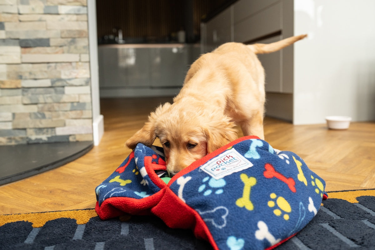 Foraging Adventures Unleashed.