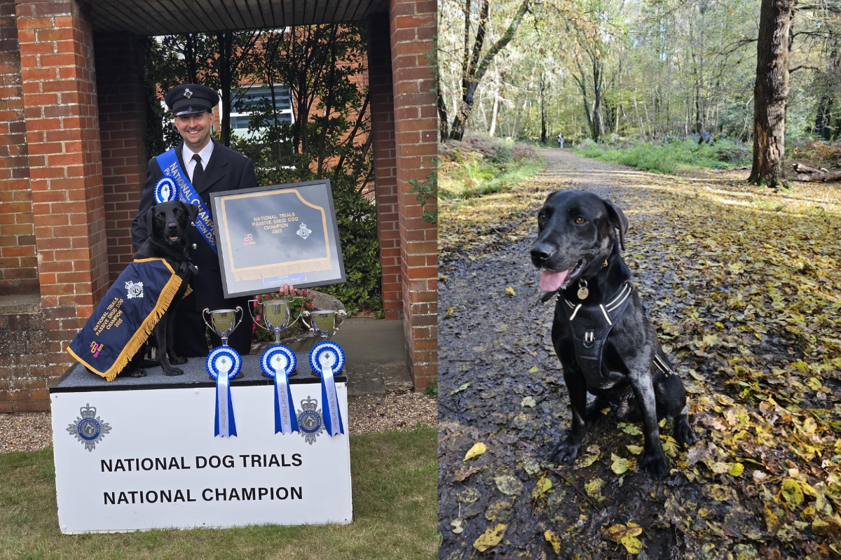 Prison Officer and Eric the Labrador Win Triple Crown at Dog Trial Finals