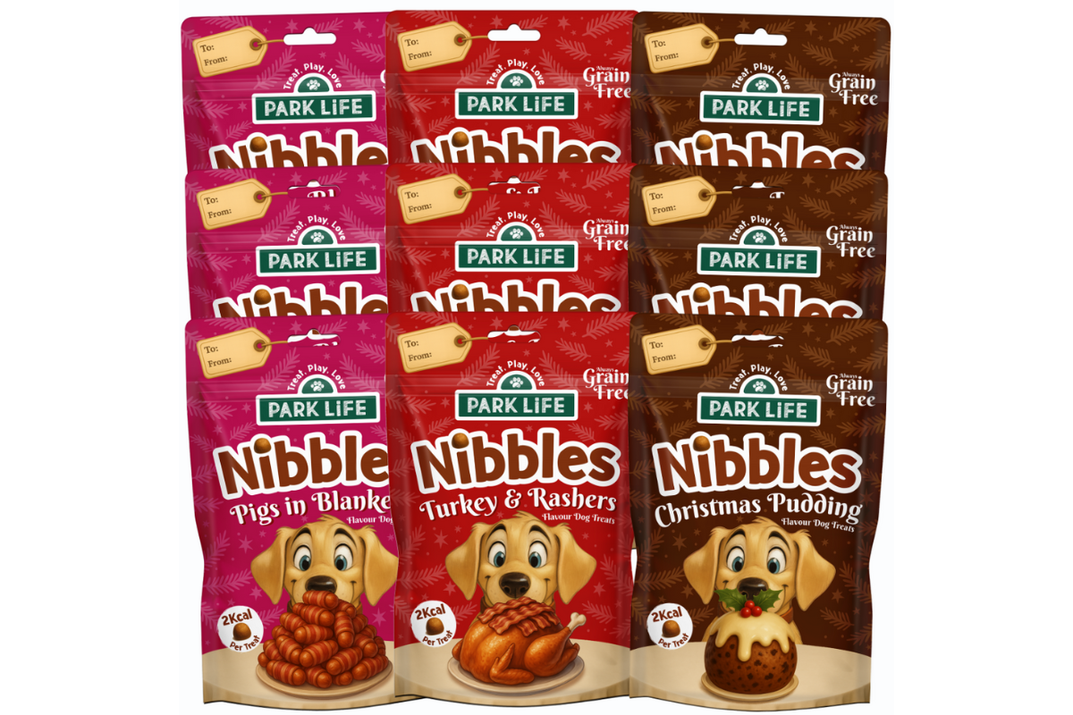 Santa Paws is Coming to Town!