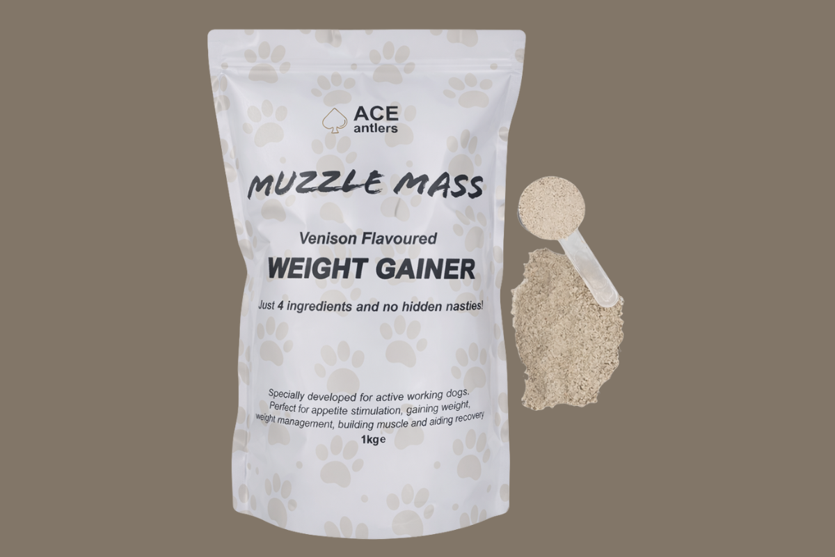 Ace Antlers Launches New Natural Weight Gainer for Dogs