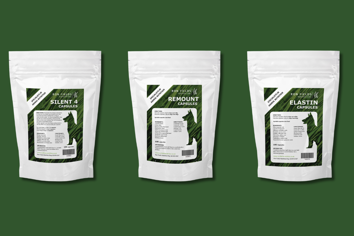 Ayurvedic Nutrition Supporting the Whole Dog.