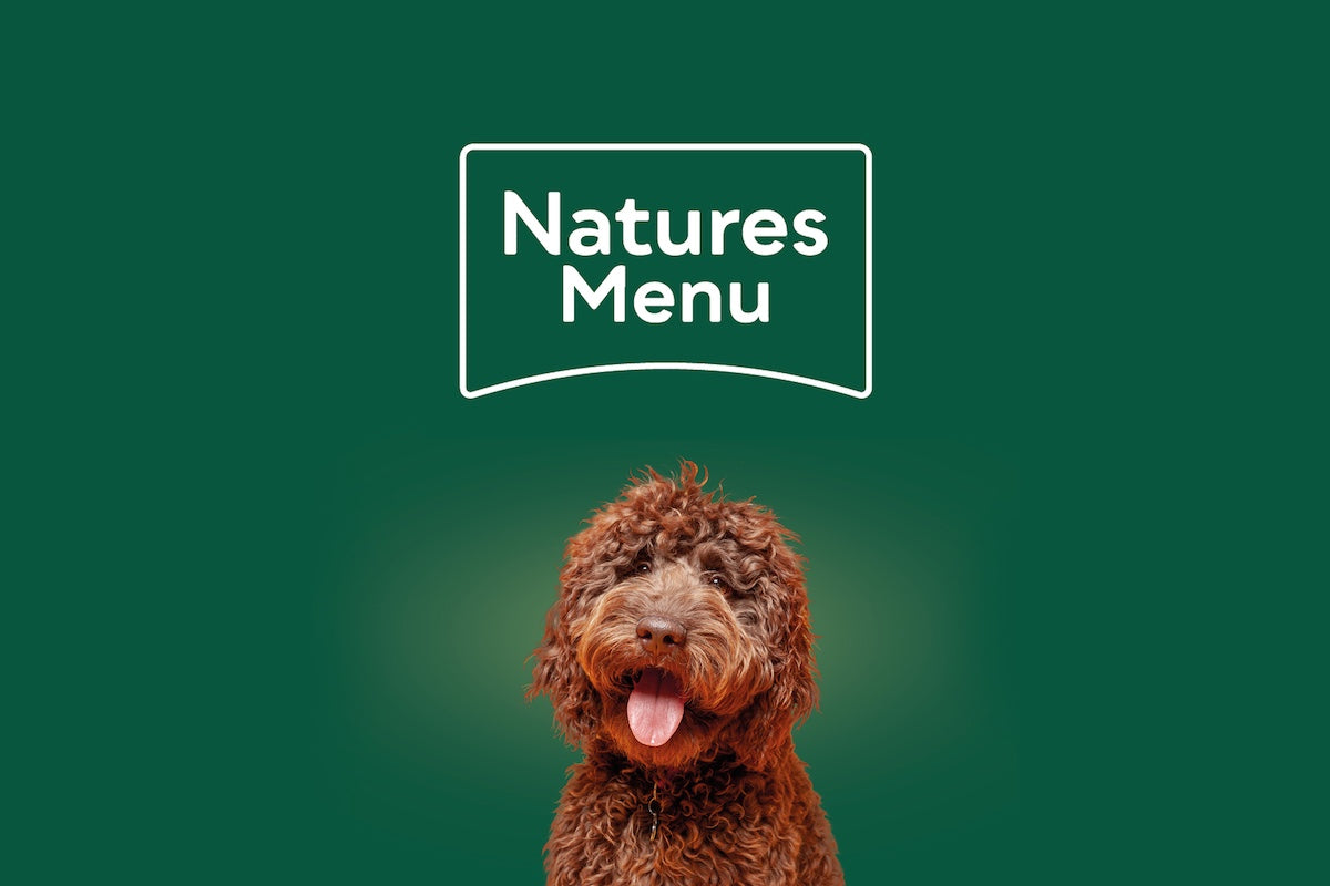 How to Make Mixed Feeding Work for Your Dog.