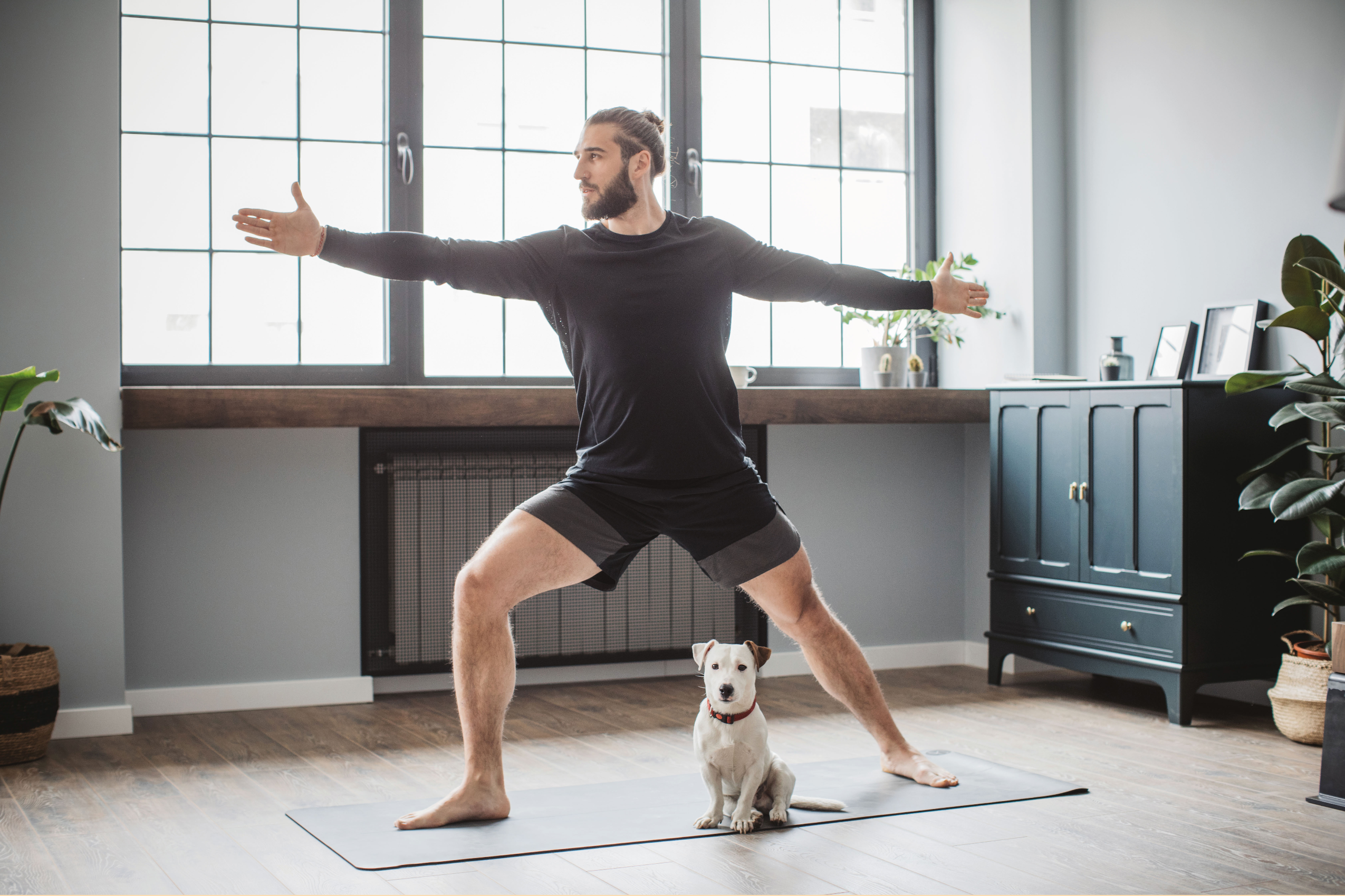 Yoga… not for puppies?