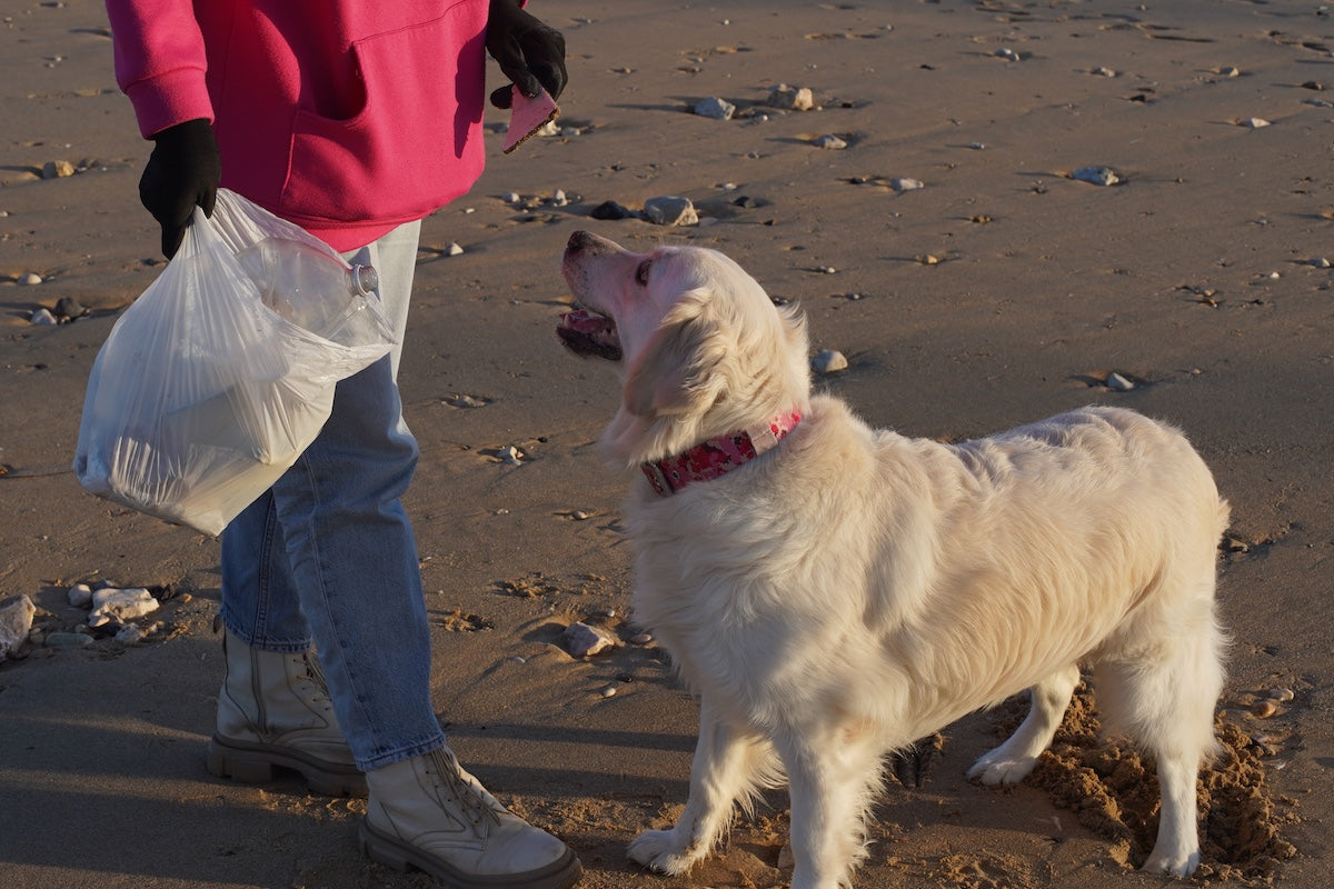 Litter-picking Dog Charity Aims to Remove 44 Million Pieces of Litter