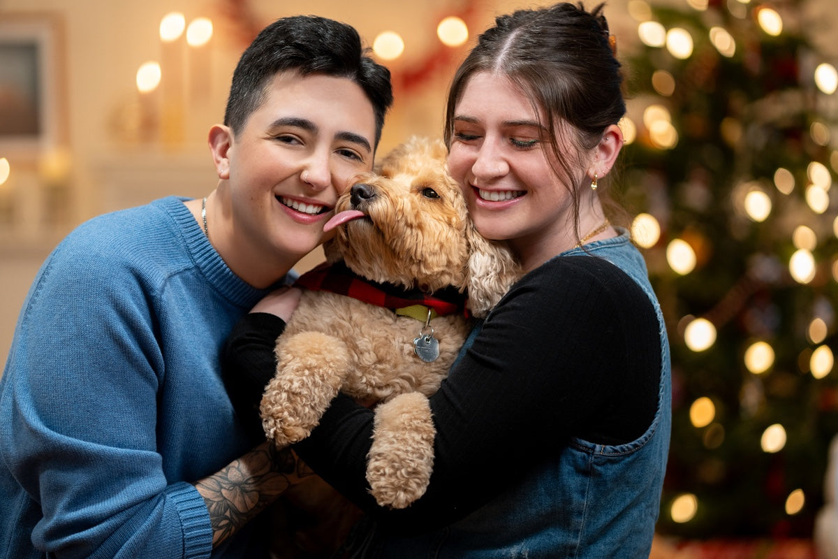 What You Should Consider in a Pet Nup?