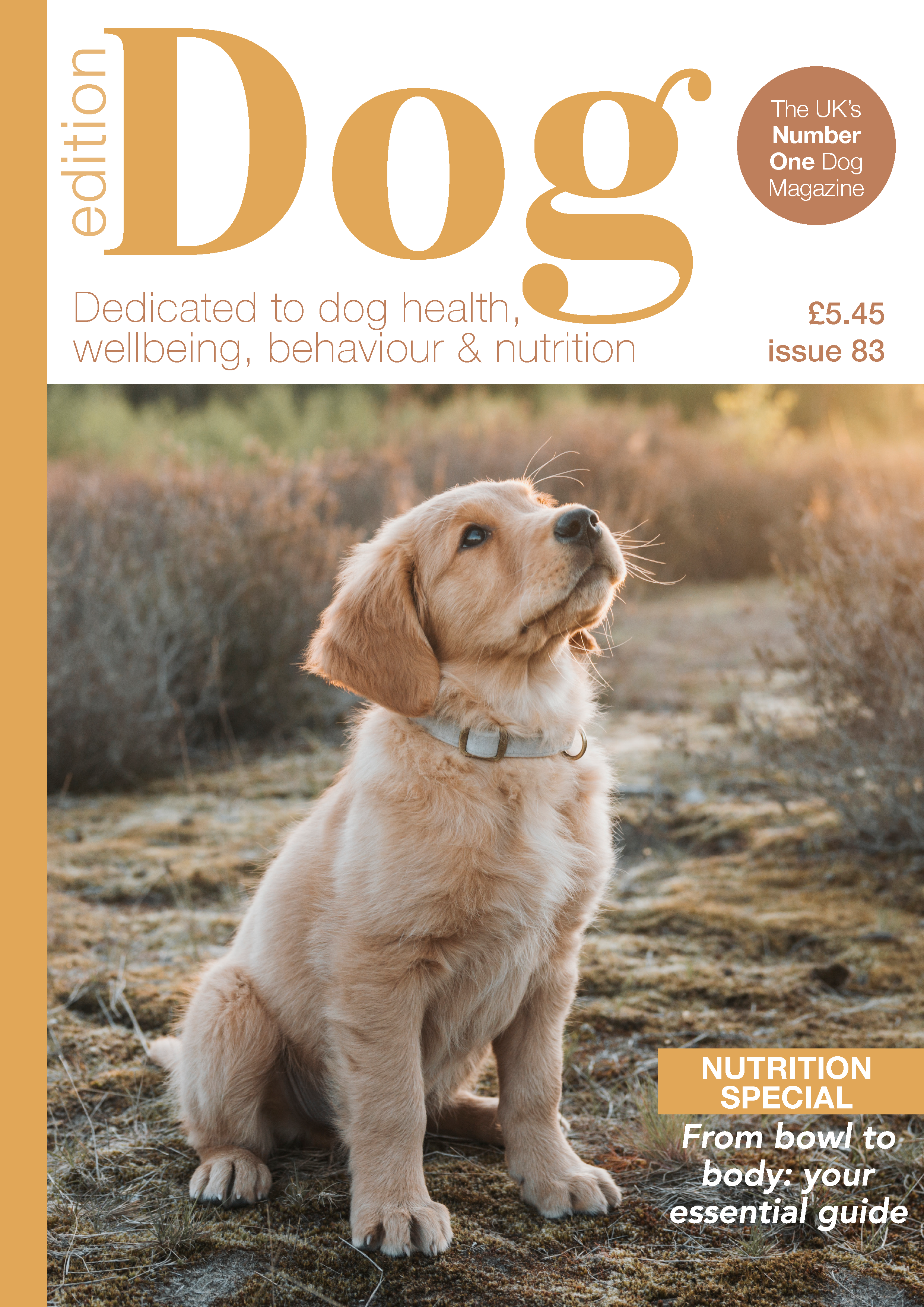 Issue 83