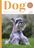 Issue 90