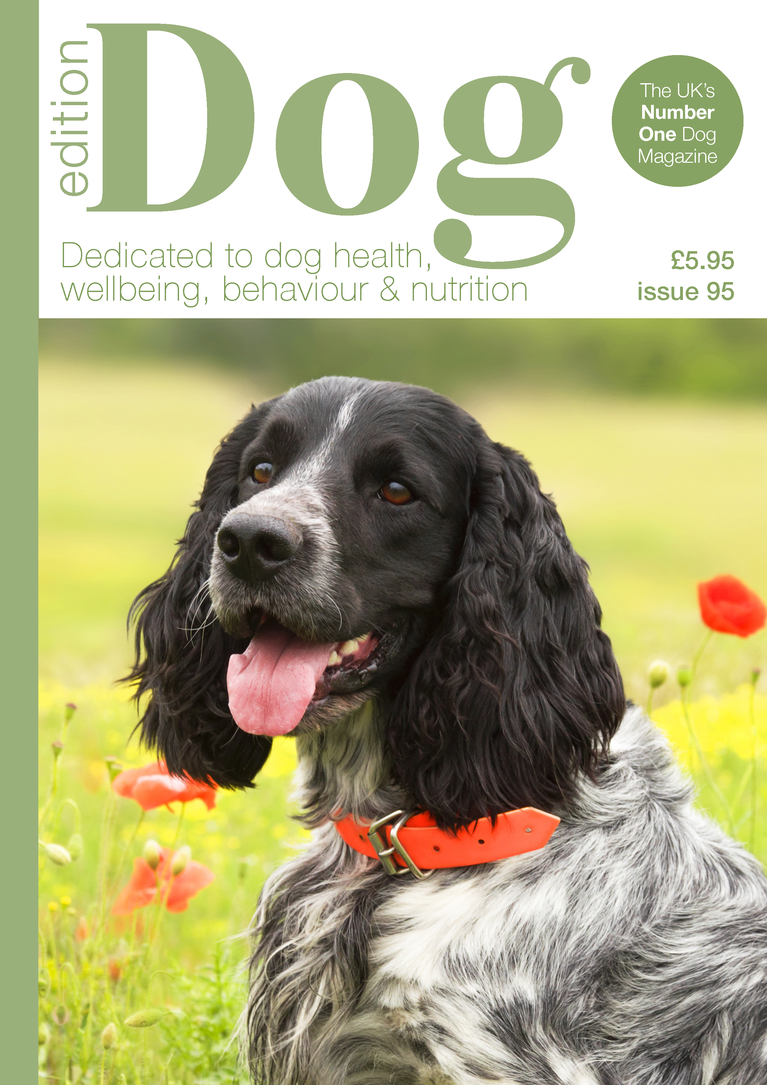 Issue 95