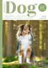Issue 96