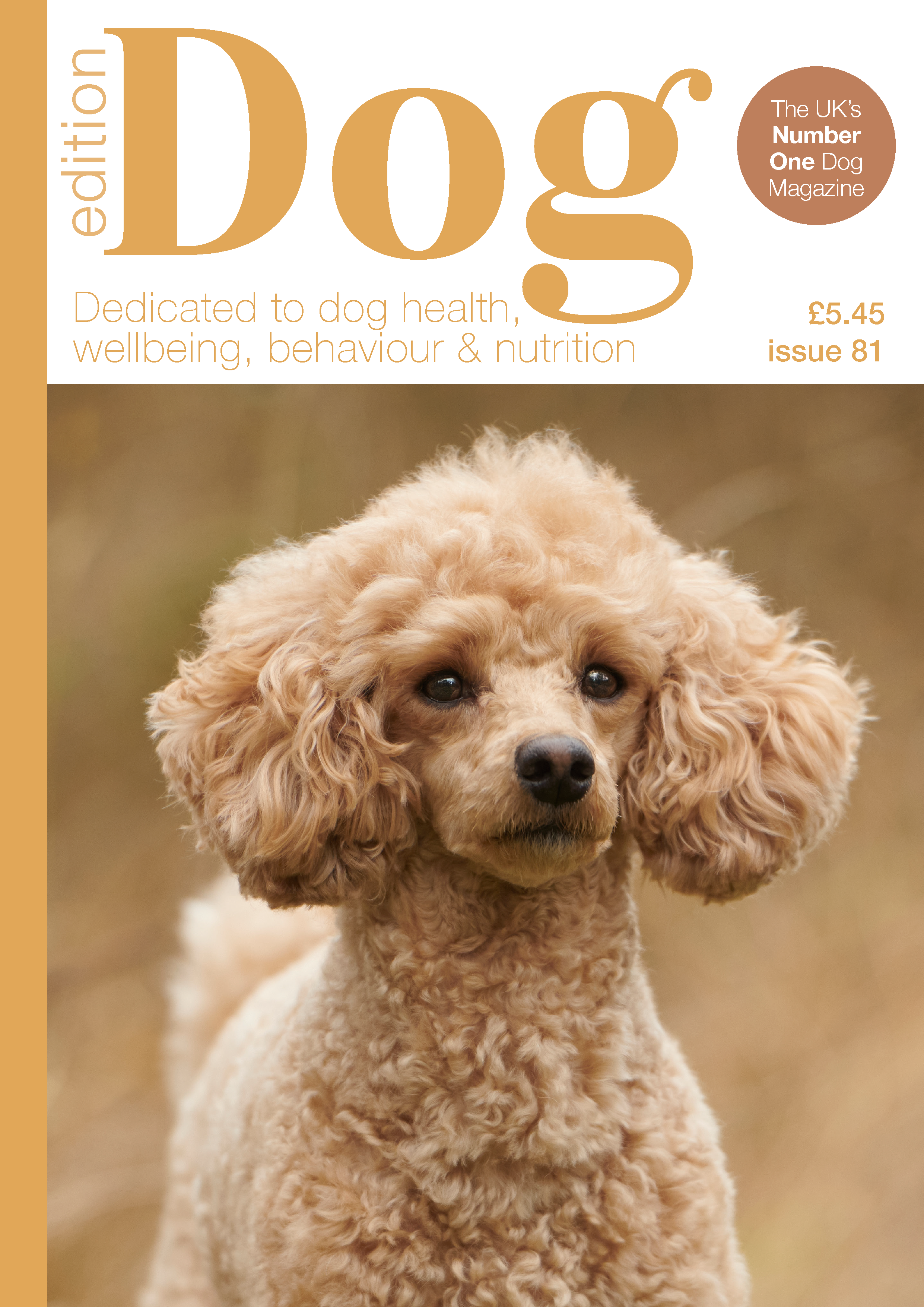 Issue 81