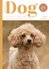Issue 81
