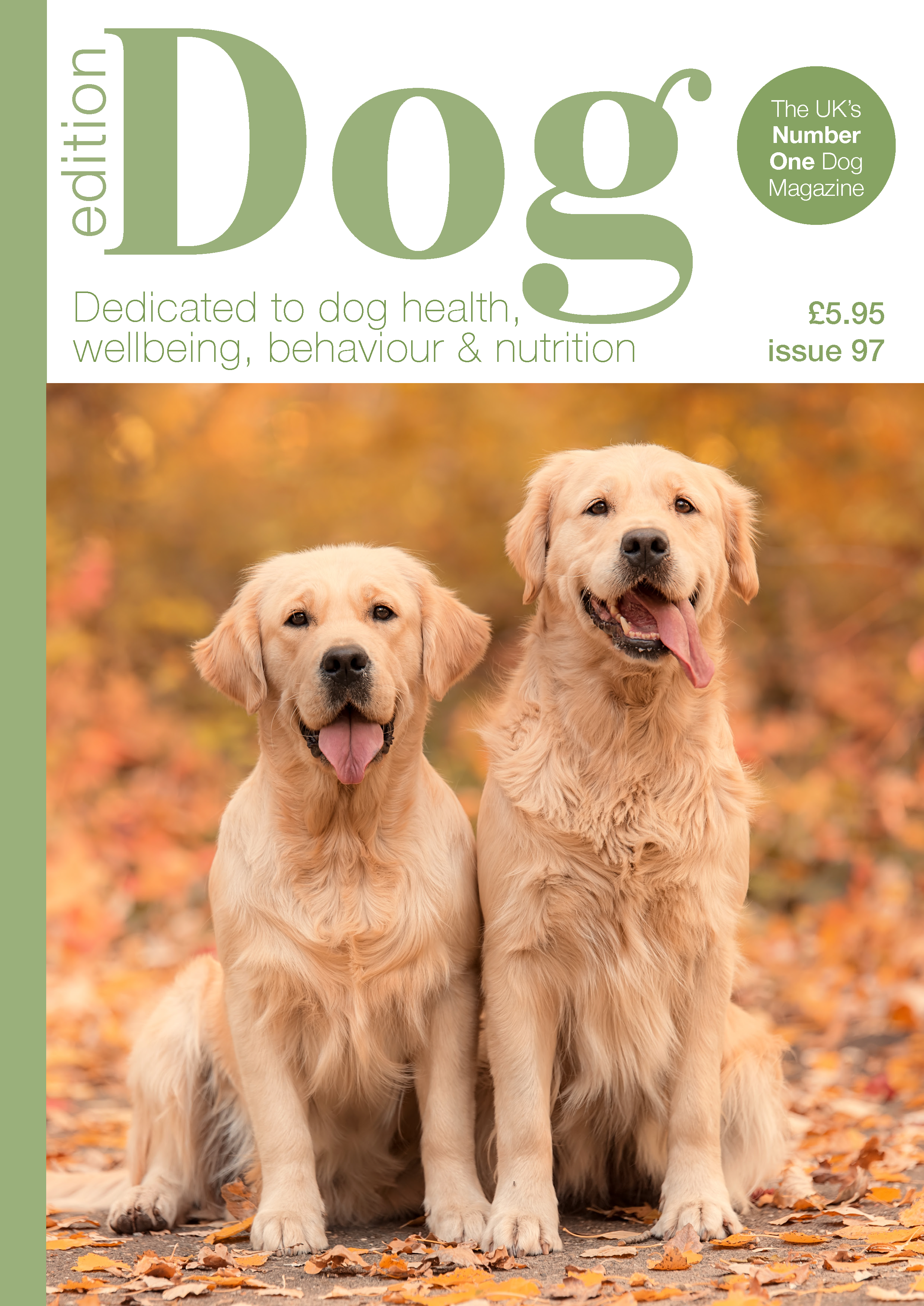 Issue 97
