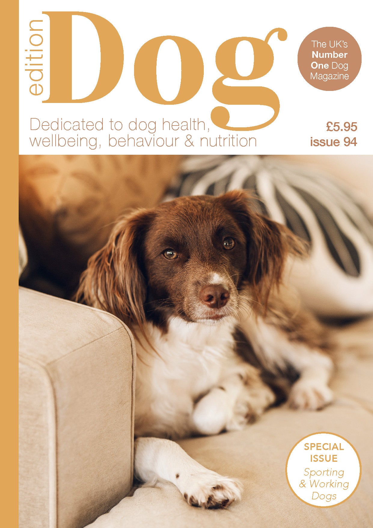Issue 94