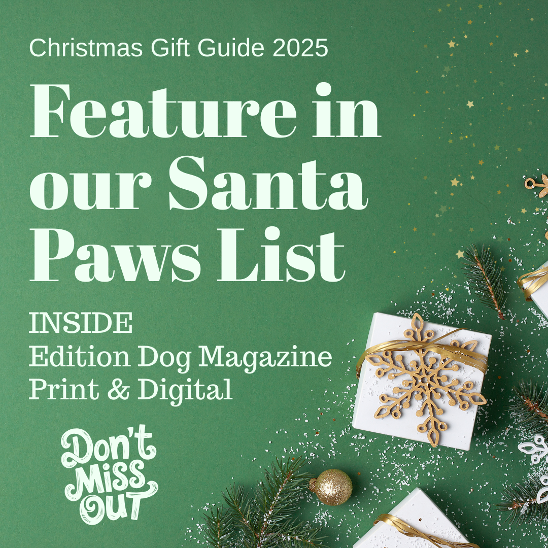 Christmas Gift Guide Entry 2025