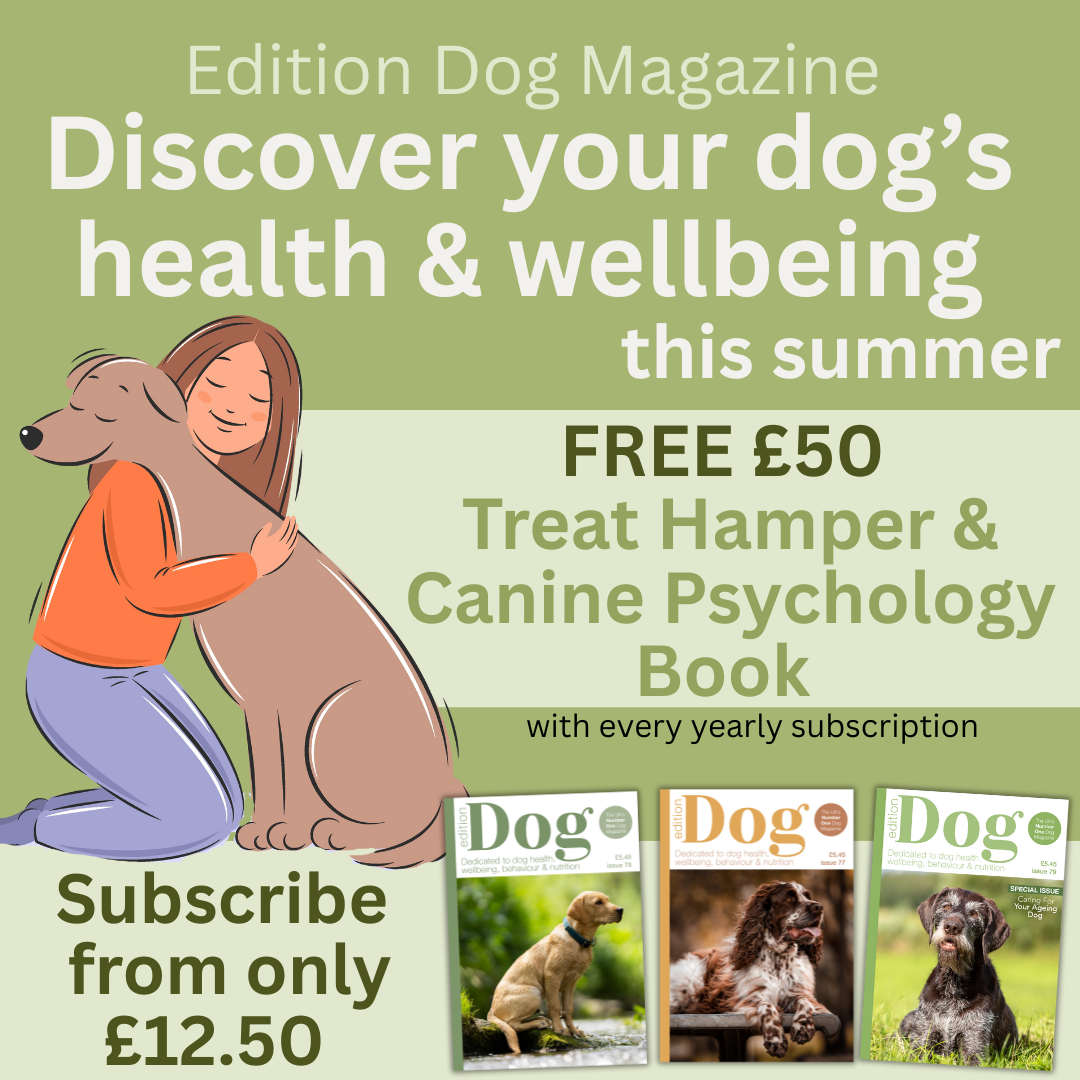 Subscriptions to Edition Dog Magazine