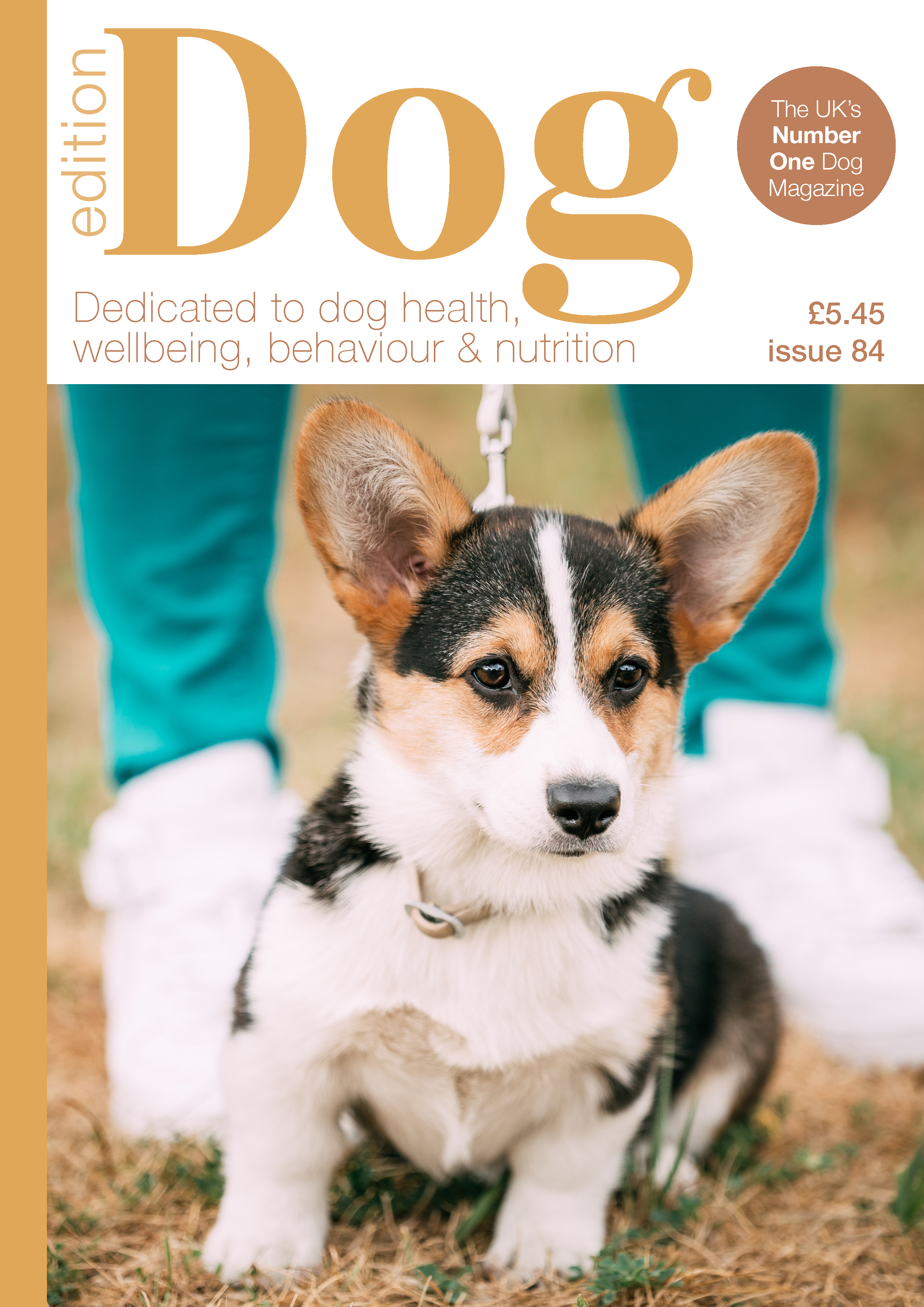 Issue 84