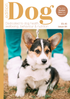 Issue 84