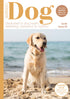Issue 93