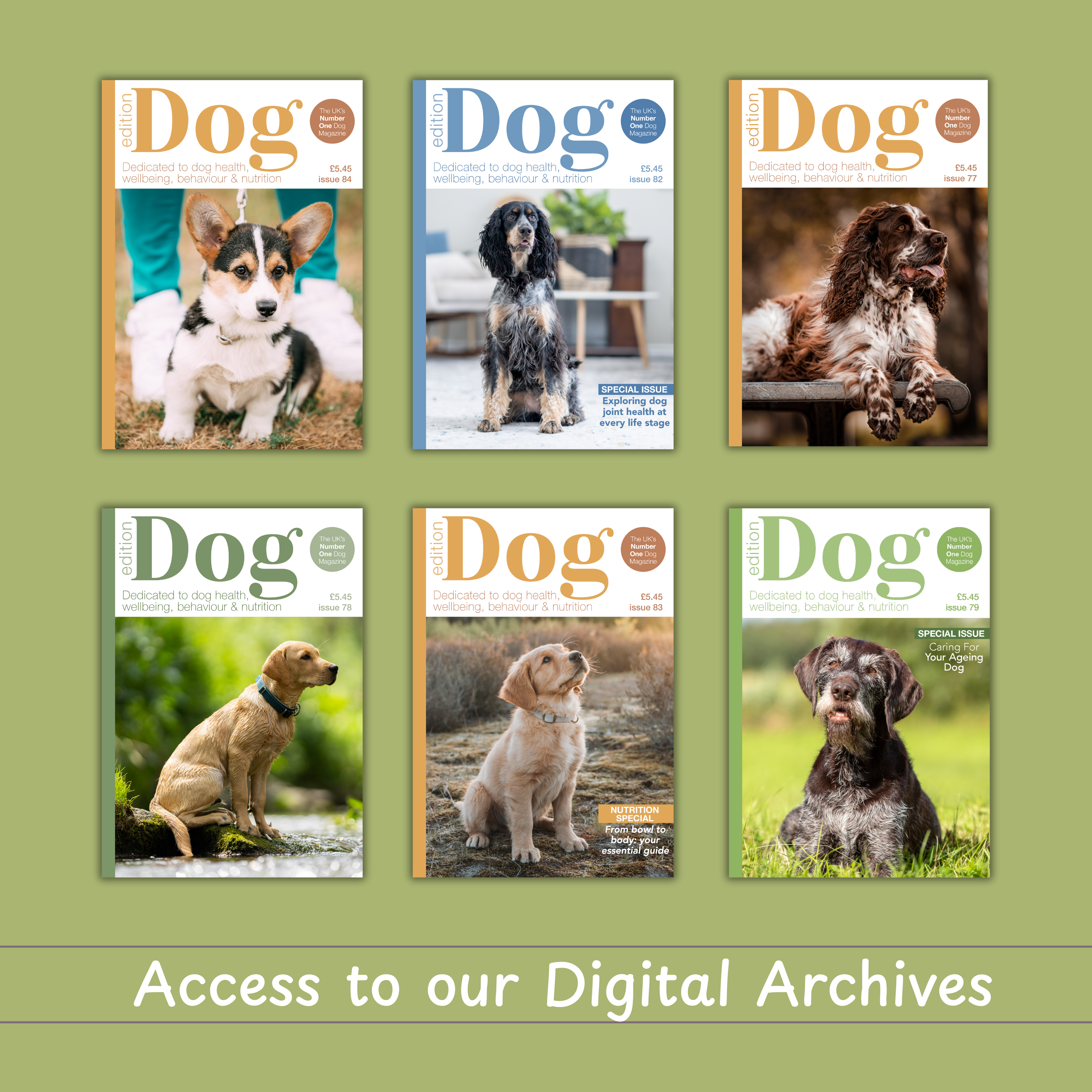 Dog Wellbeing Club