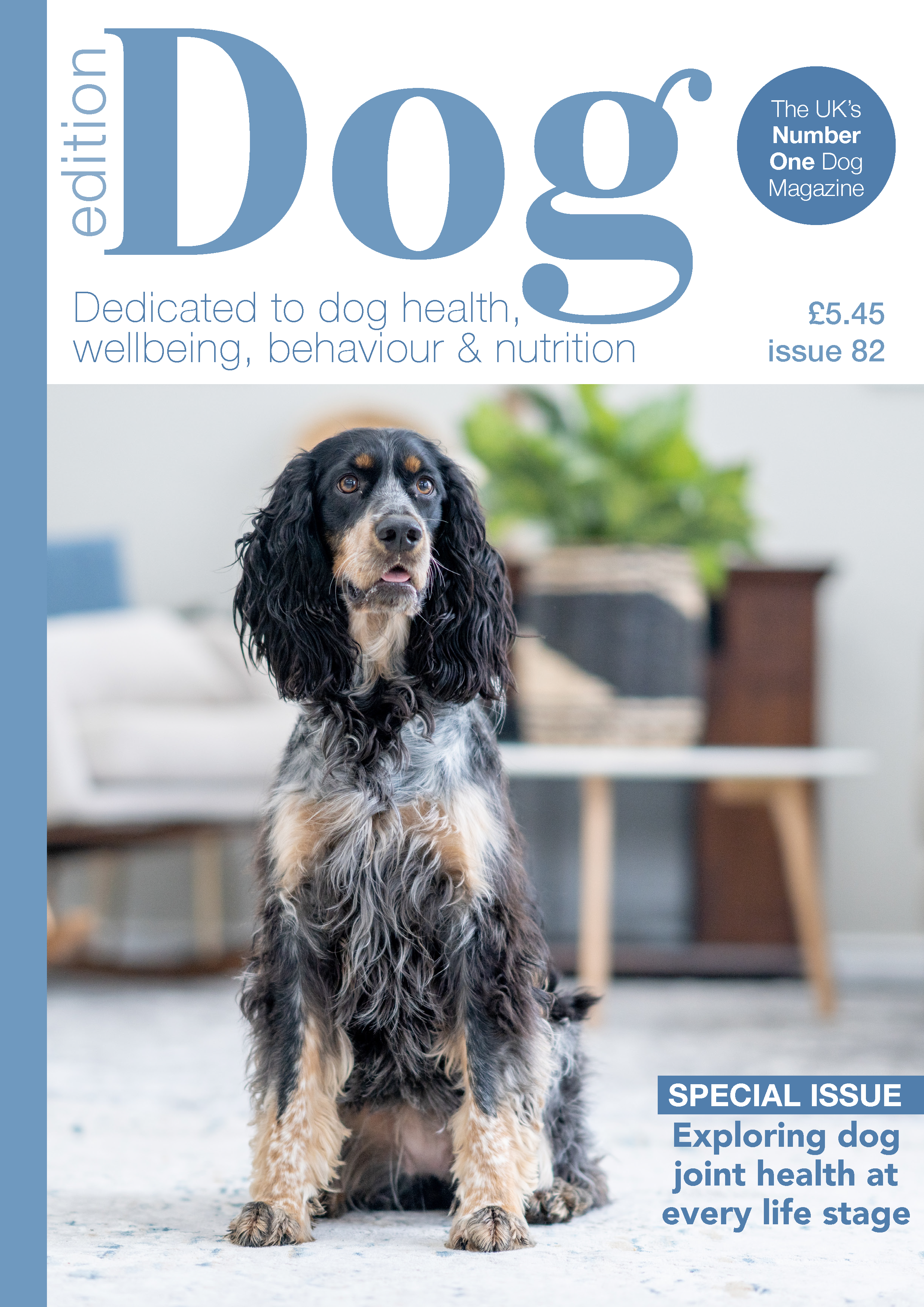 Issue 82