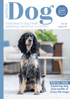 Issue 82