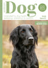 Issue 91