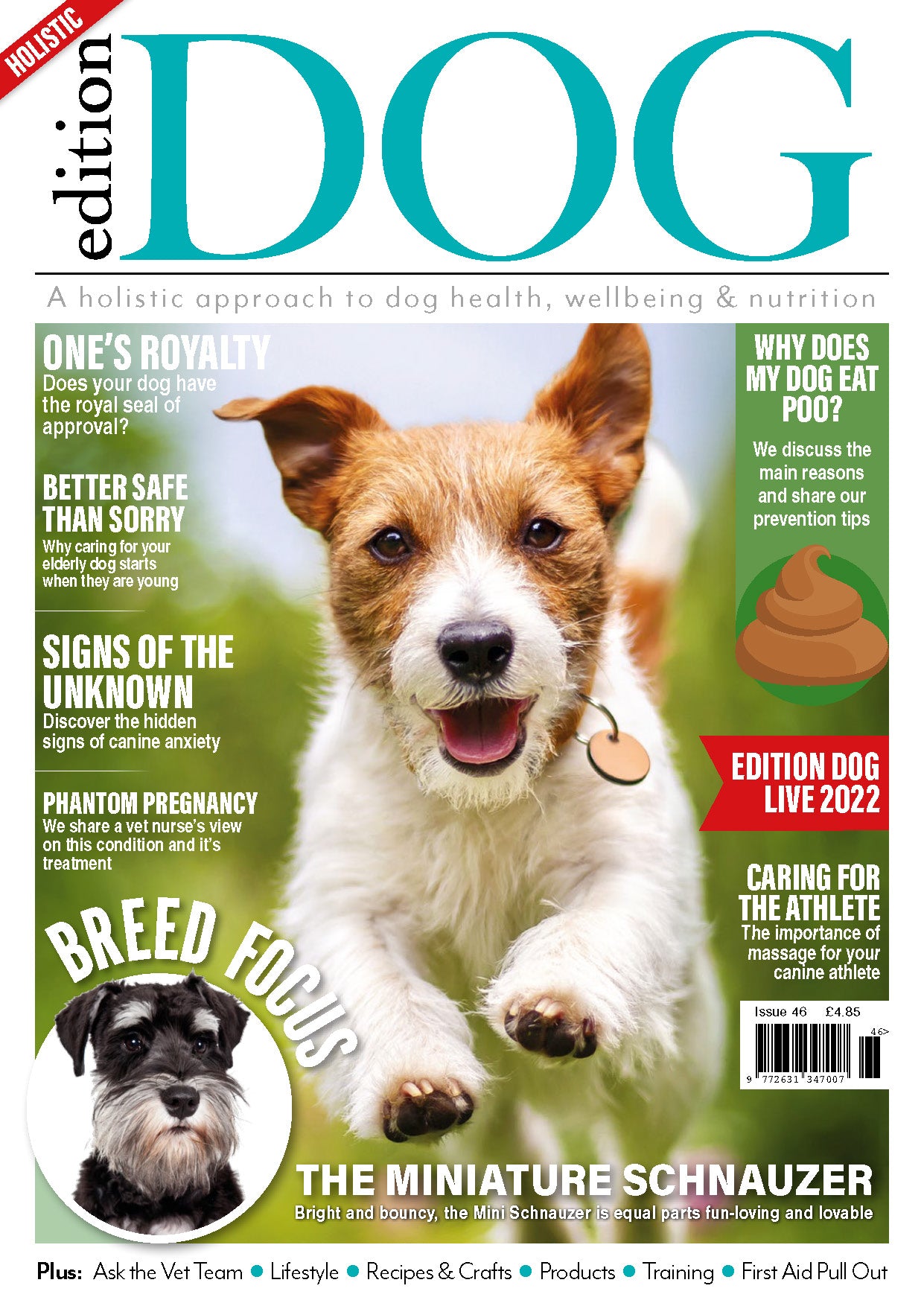 Issue 46