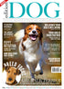 Issue 7 Edition Dog Magazine