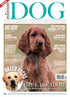 Issue 13 Edition Dog Magazine