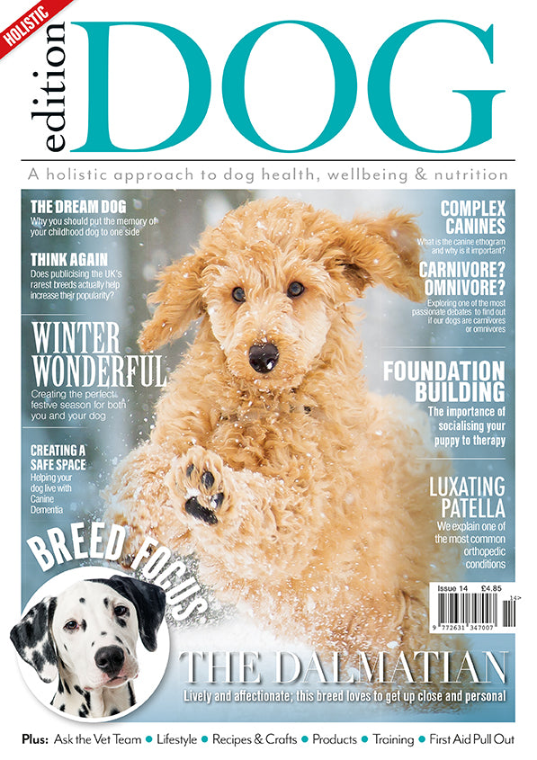 Issue 14 Edition Dog Magazine