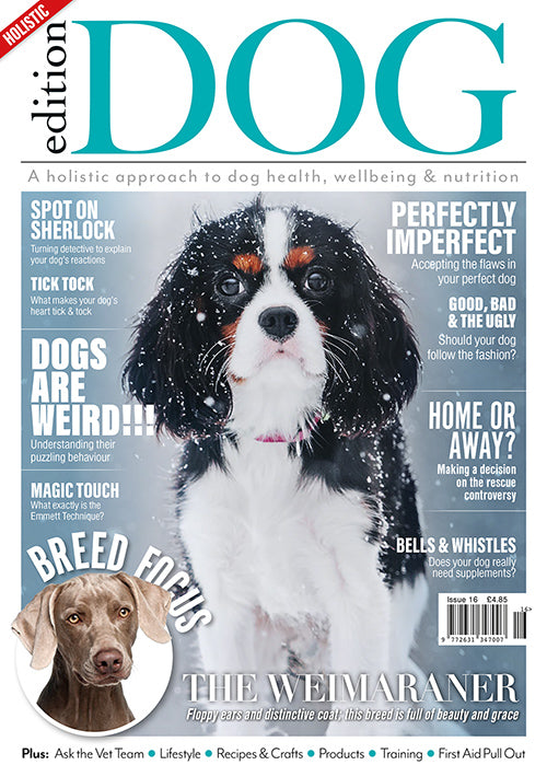 Issue 16  Edition Dog Magazine