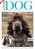 Issue 18  Edition Dog Magazine