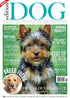 Issue 23: Edition Dog Magazine