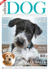 Issue 24: Edition Dog Magazine