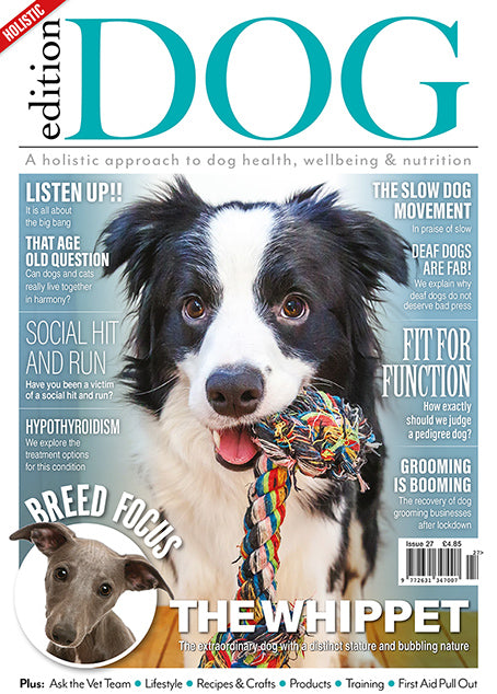Issue 27