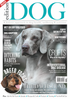 Issue 5 Edition Dog Magazine