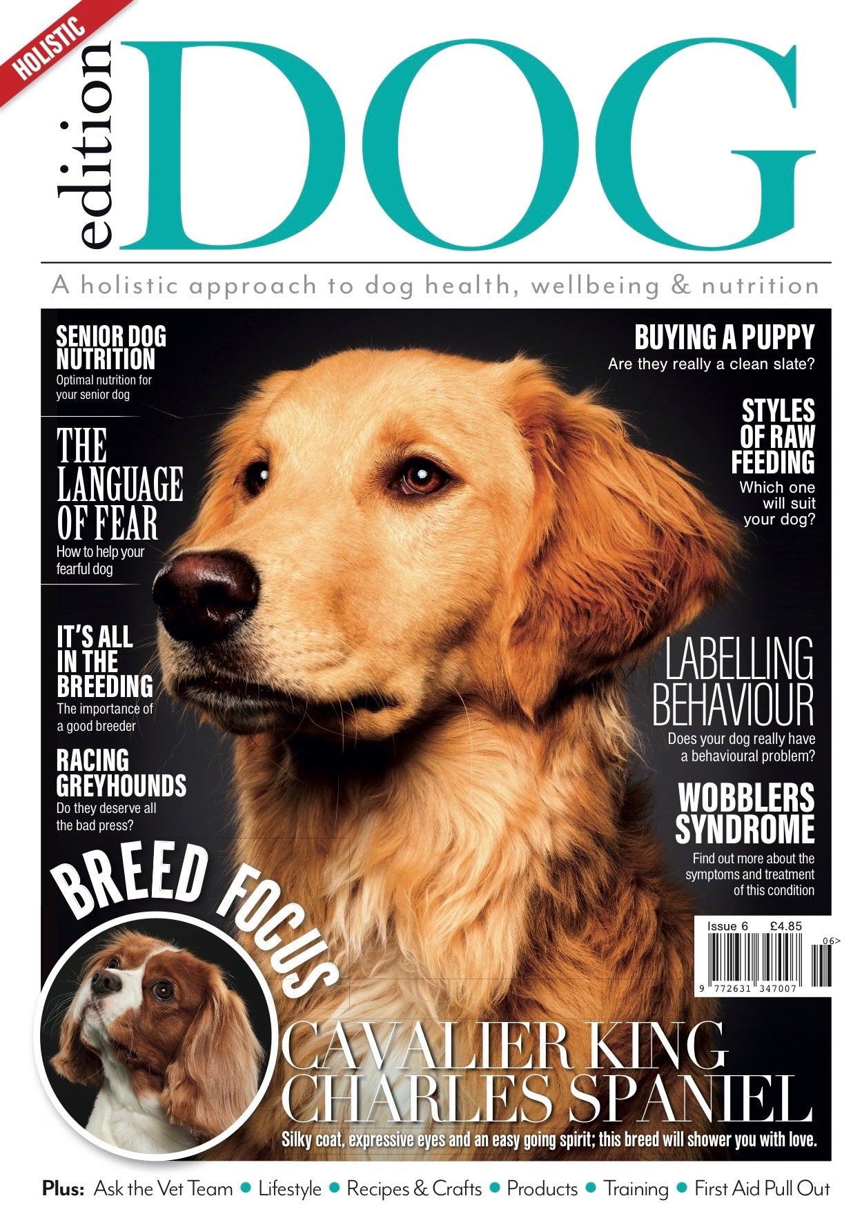 Issue 6 Edition Dog Magazine