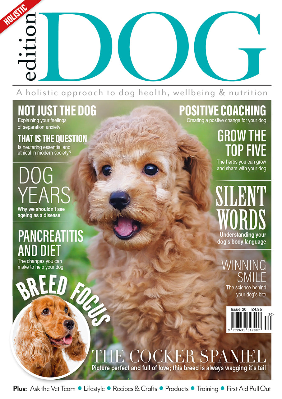 Issue 20  Edition Dog Magazine