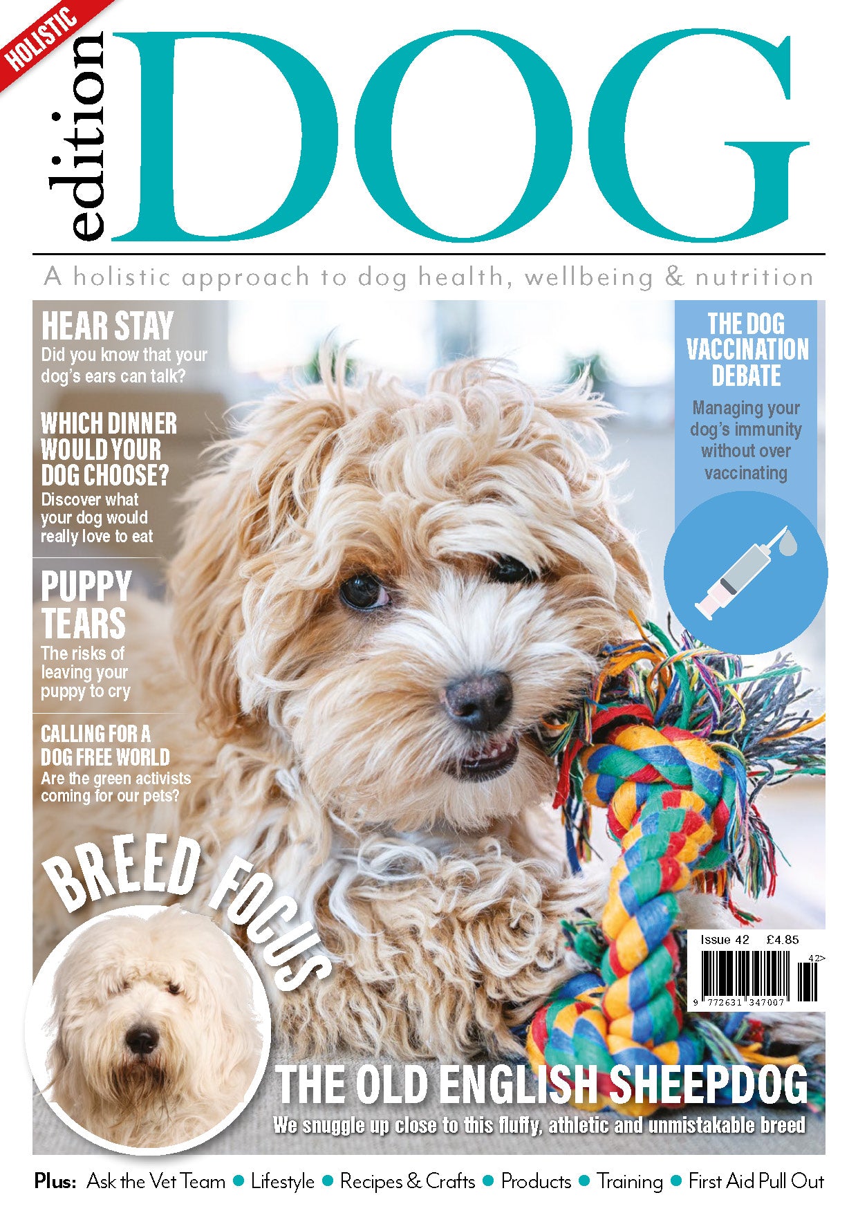 Issue 42