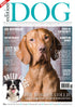 Issue 19  Edition Dog Magazine