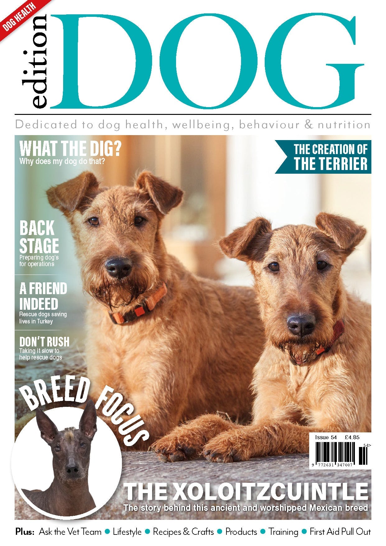 Issue 54 - Digital Version