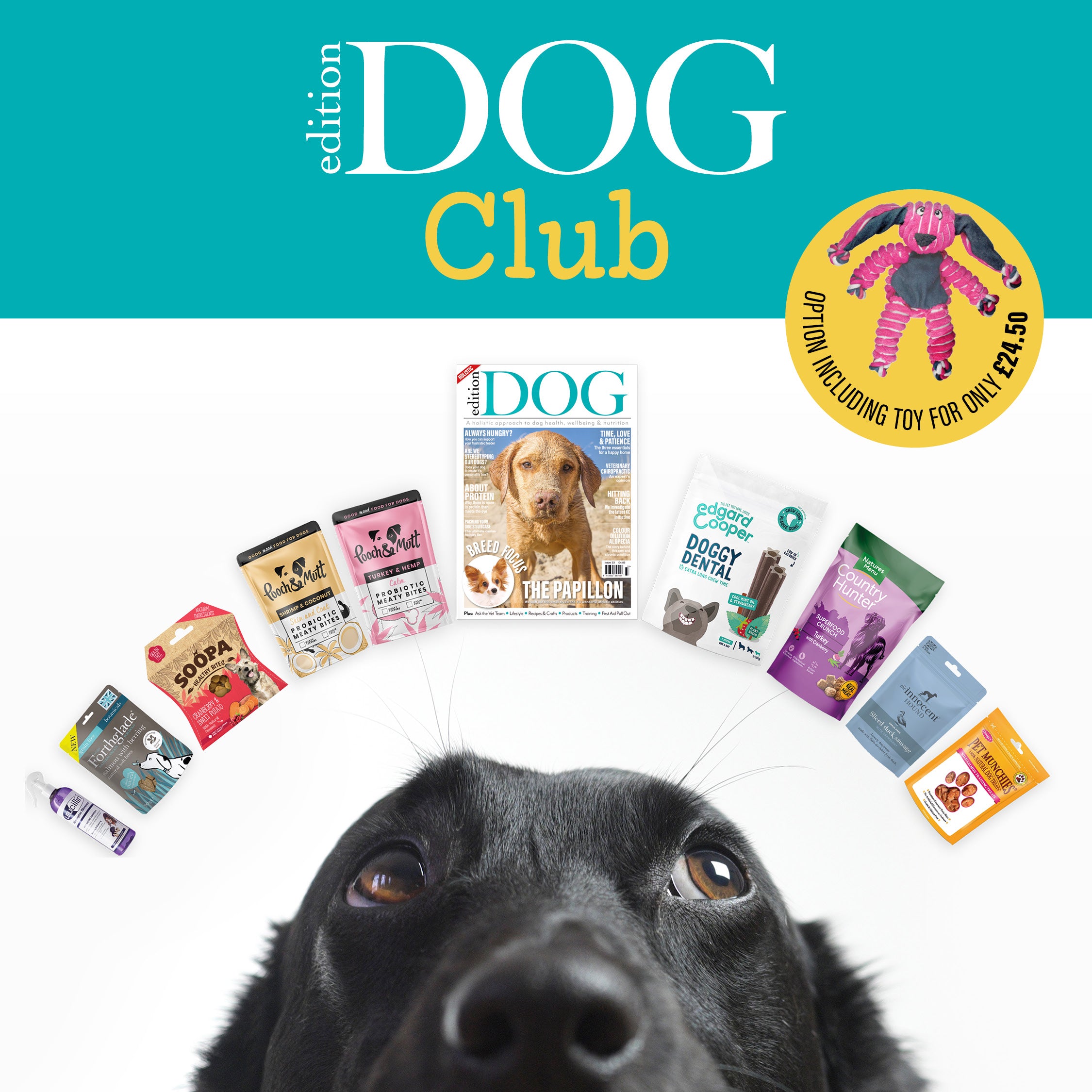 Edition Dog Club