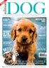 Issue 10 Edition Dog Magazine